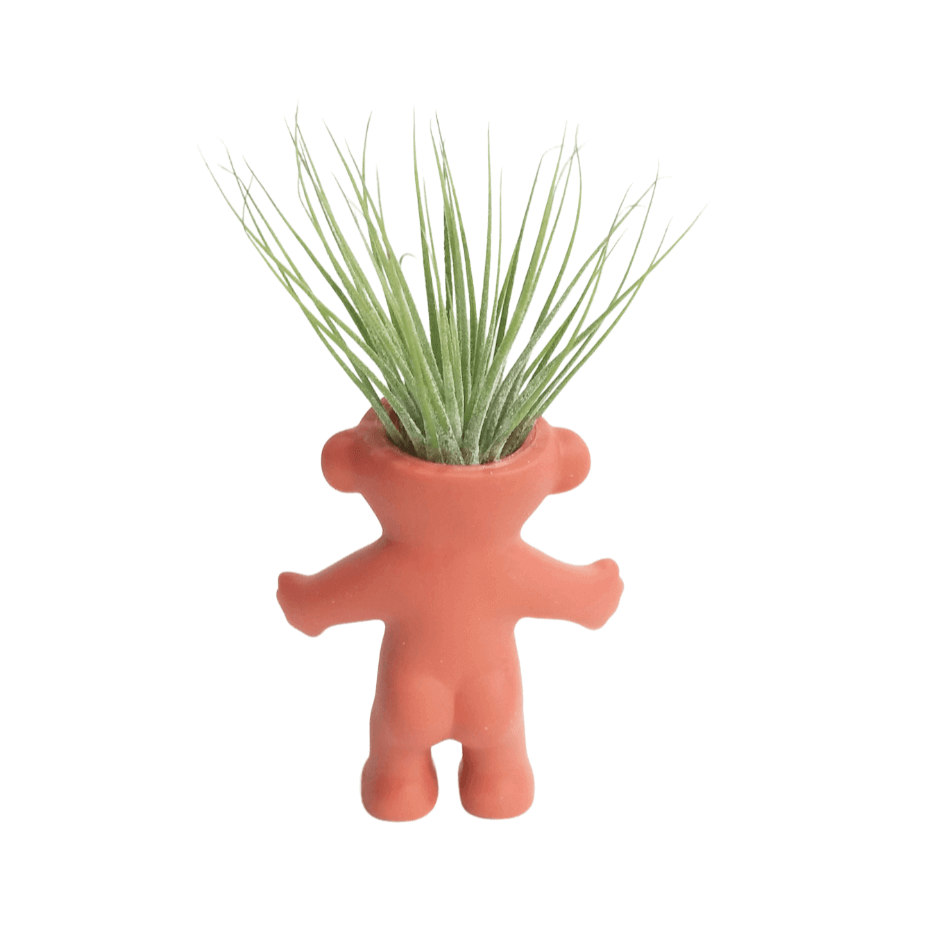 Air Plant Holder Cute Naked Troll