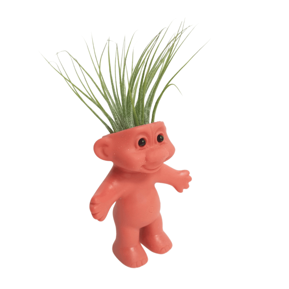 Air Plant Holder Cute Naked Troll