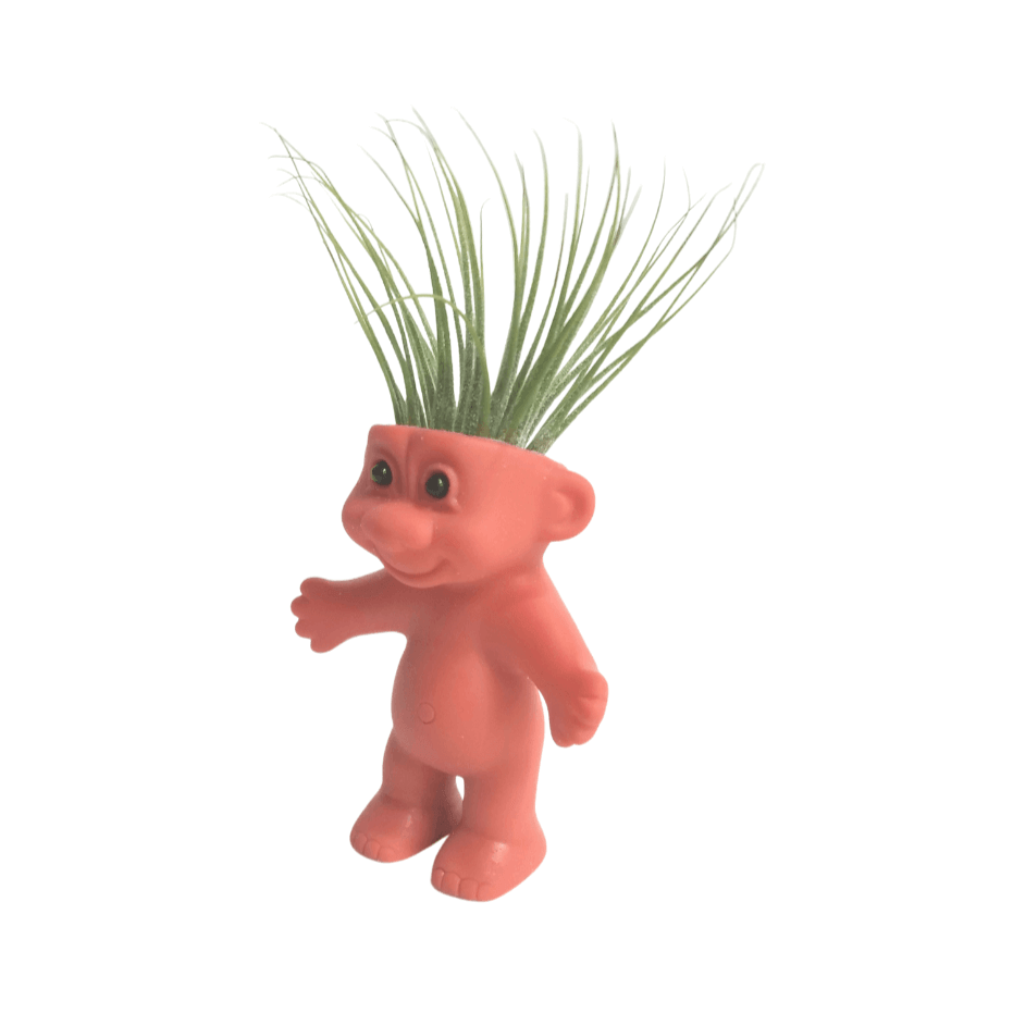 Air Plant Holder Cute Naked Troll