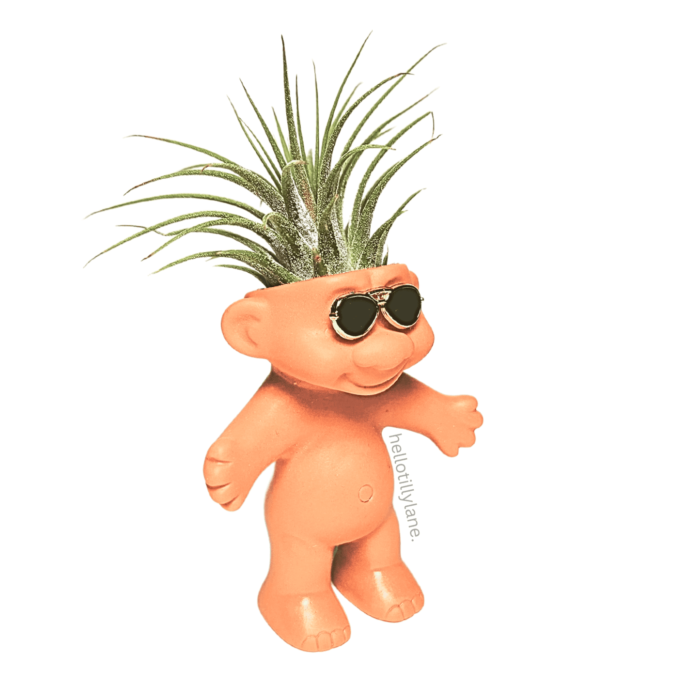 Air Plant Holder Troll With Sunglasses