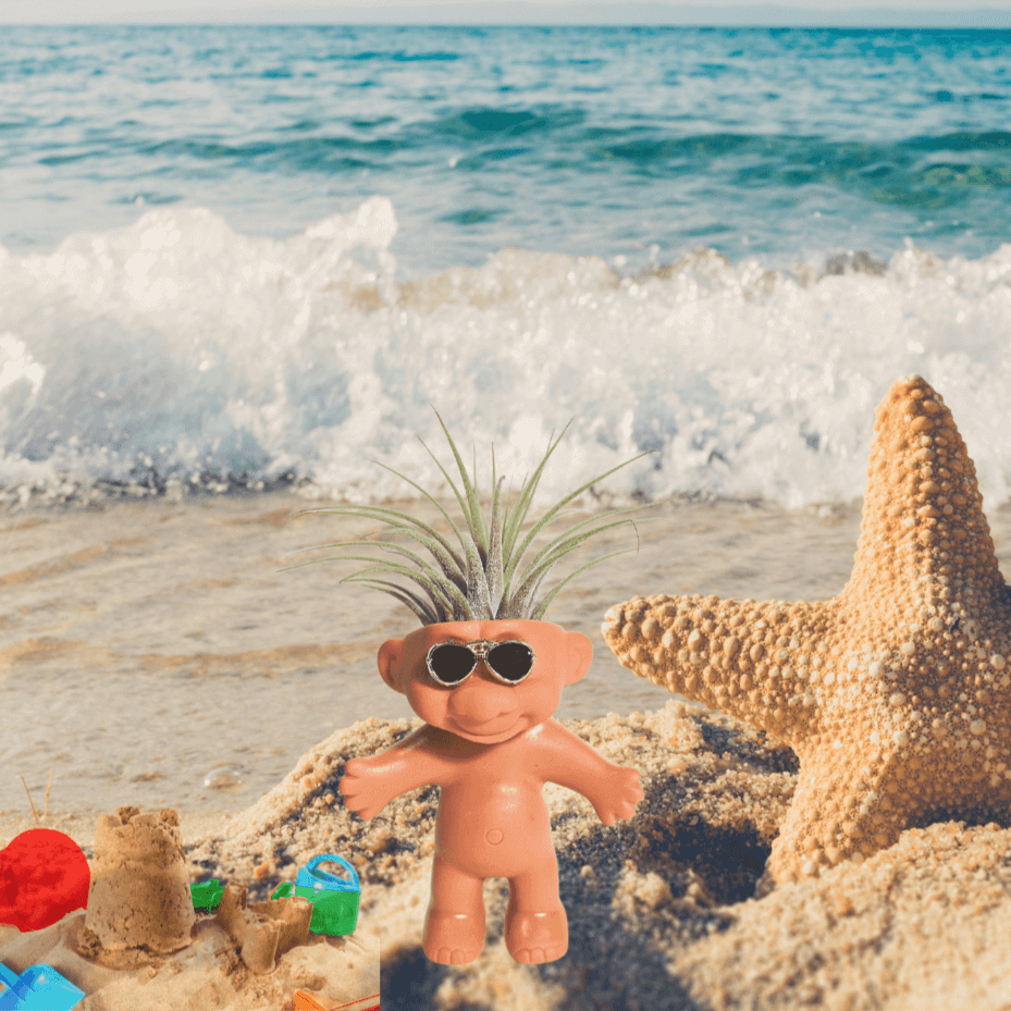 Air Plant Holder Troll With Sunglasses