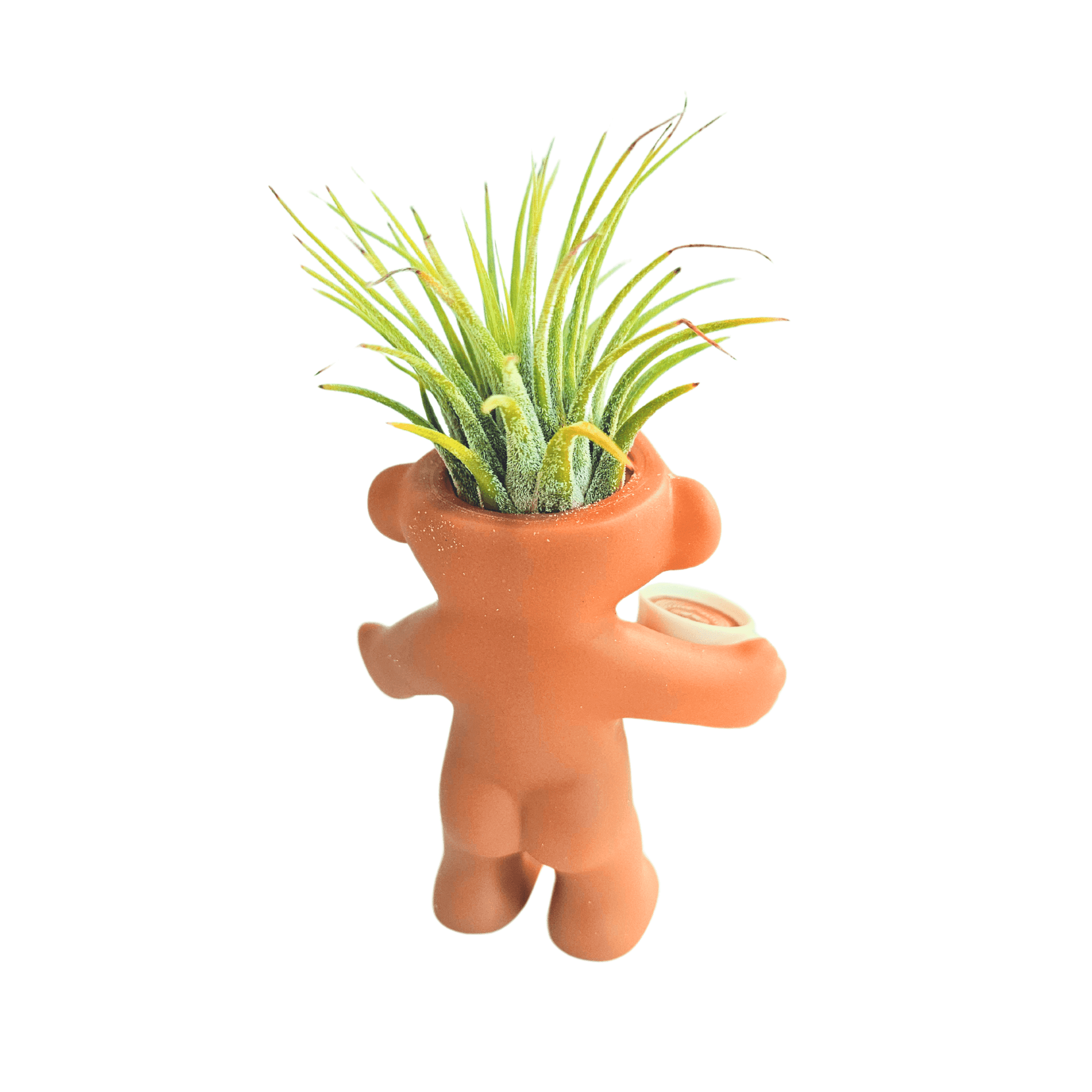 Vintage Troll Air Plant Holder with Cappuccino