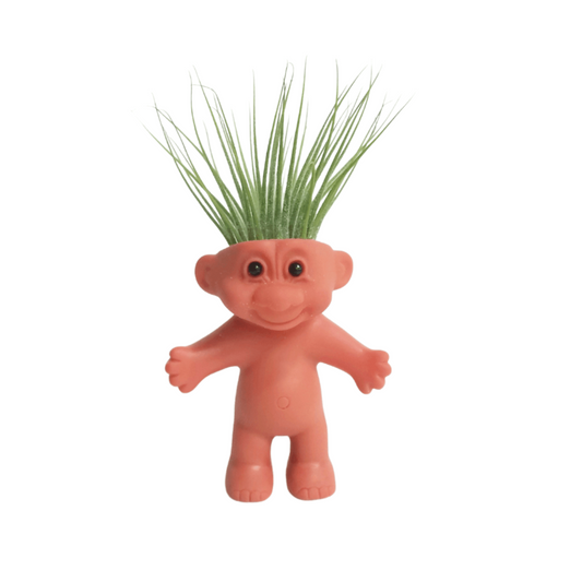 Air Plant Holder Cute Naked Troll