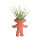 Air Plant Holder Cute Nakey Troll