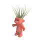 Air Plant Holder Cute Nakey Troll