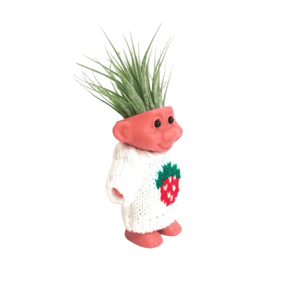 troll air plant Air Plant Holder Cute Troll with Strawberry Sweater – Hello Tilly Lane