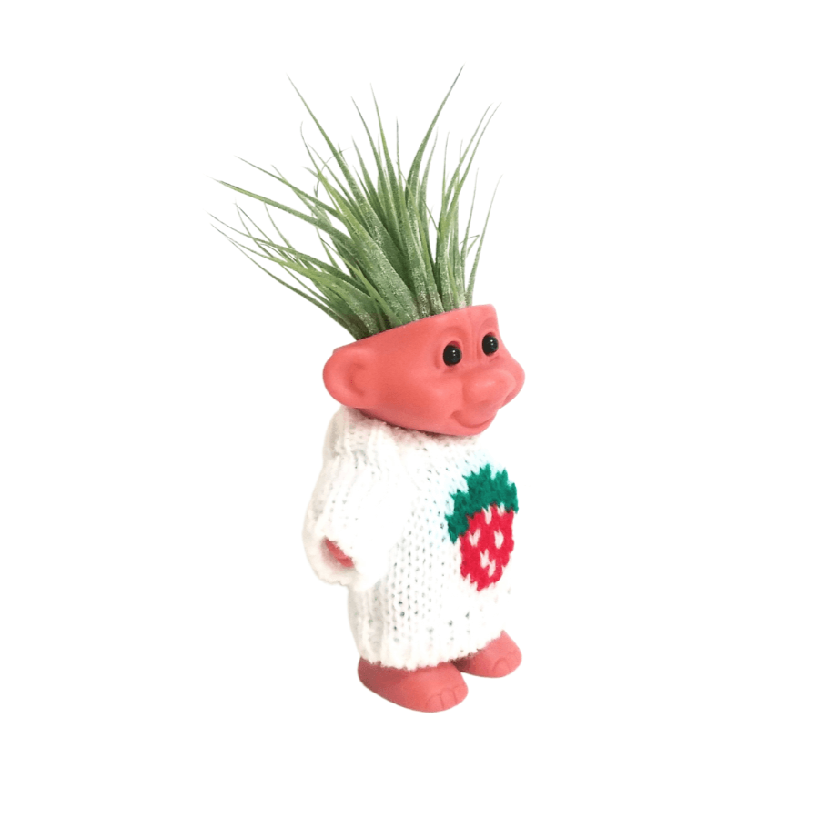 Air Plant Holder Cute Troll with Strawberry Sweater