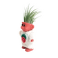 Cute Air Plant Holder Troll with Strawberry Sweater