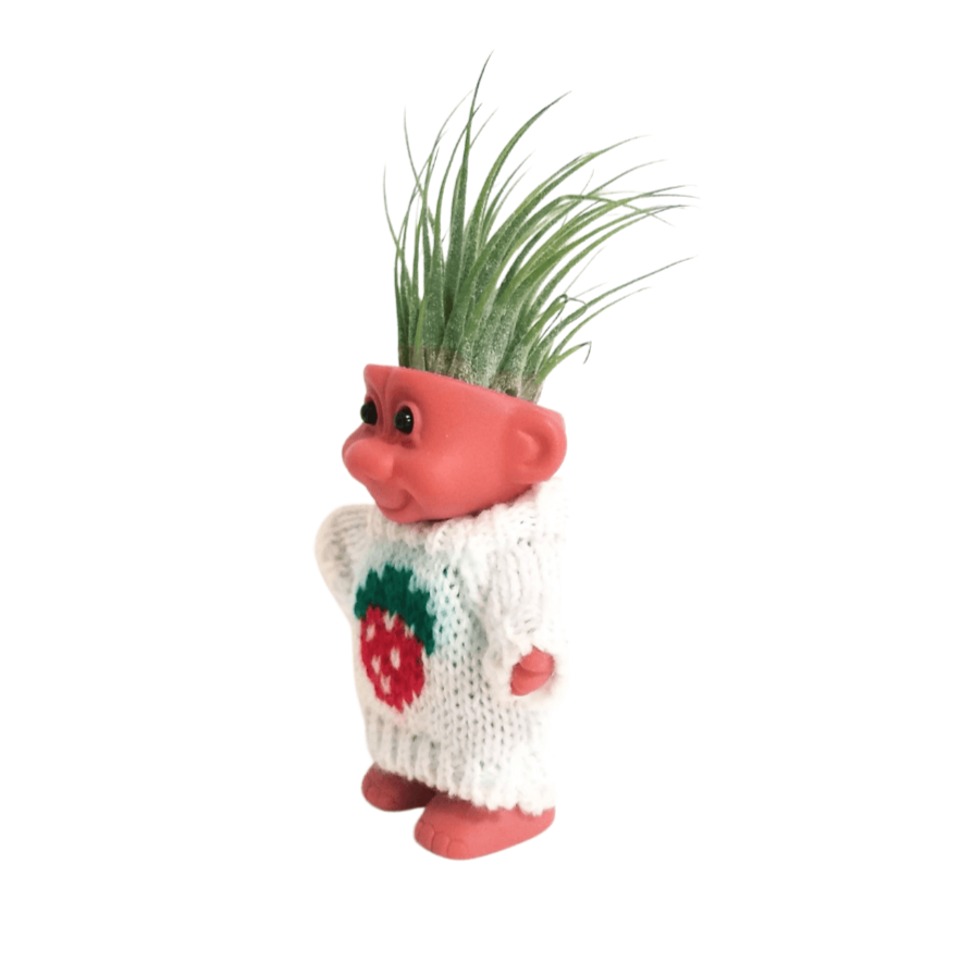 Cute Air Plant Holder Troll with Strawberry Sweater