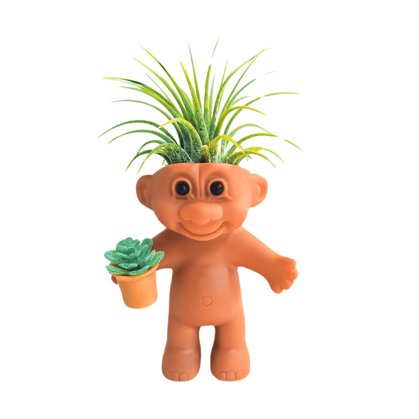 Air Plant Holder Funny Troll Holding Succulent Plant