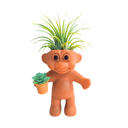 Air Plant Holder Funny Troll Holding Succulent Plant