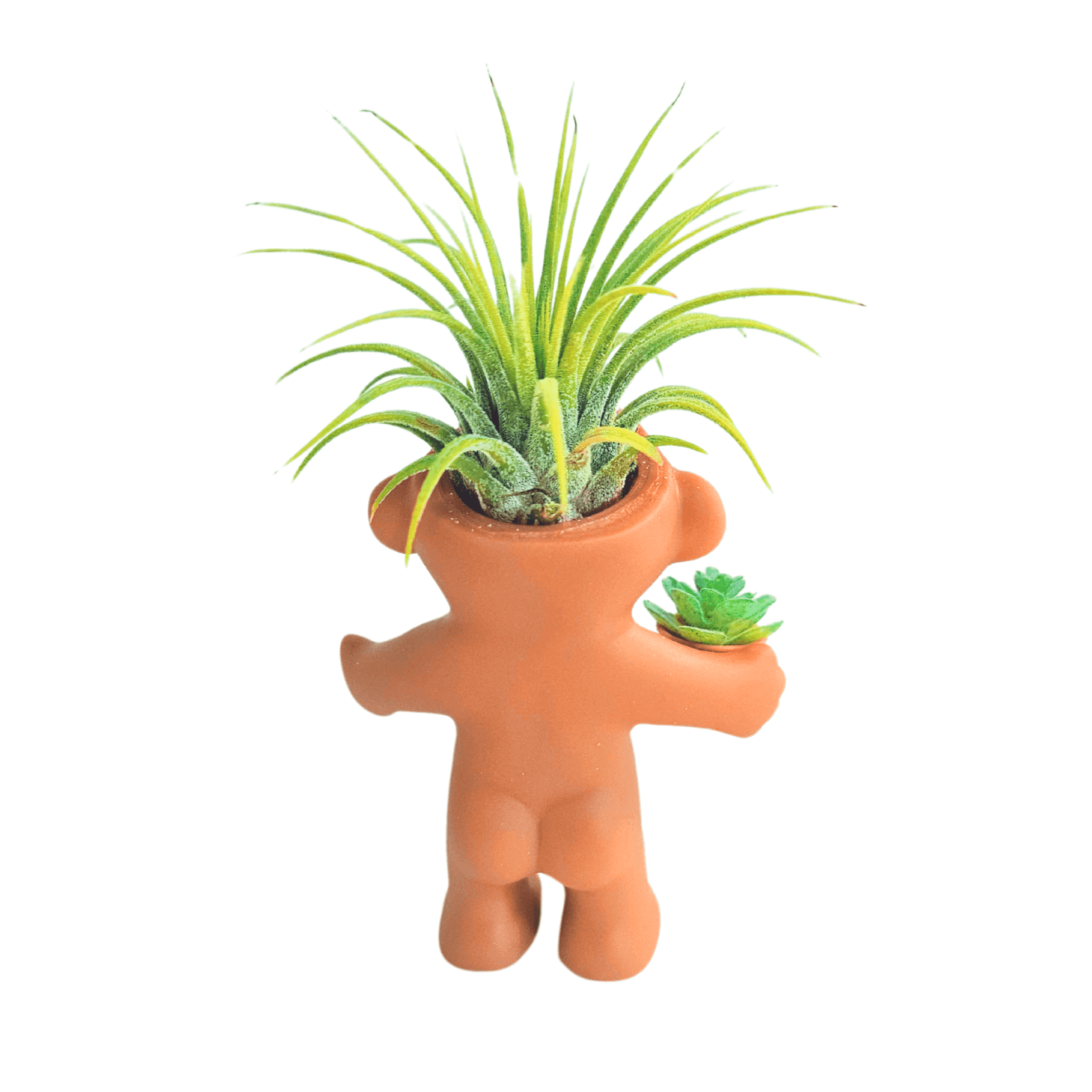 Air Plant Holder Funny Troll Holding Succulent Plant