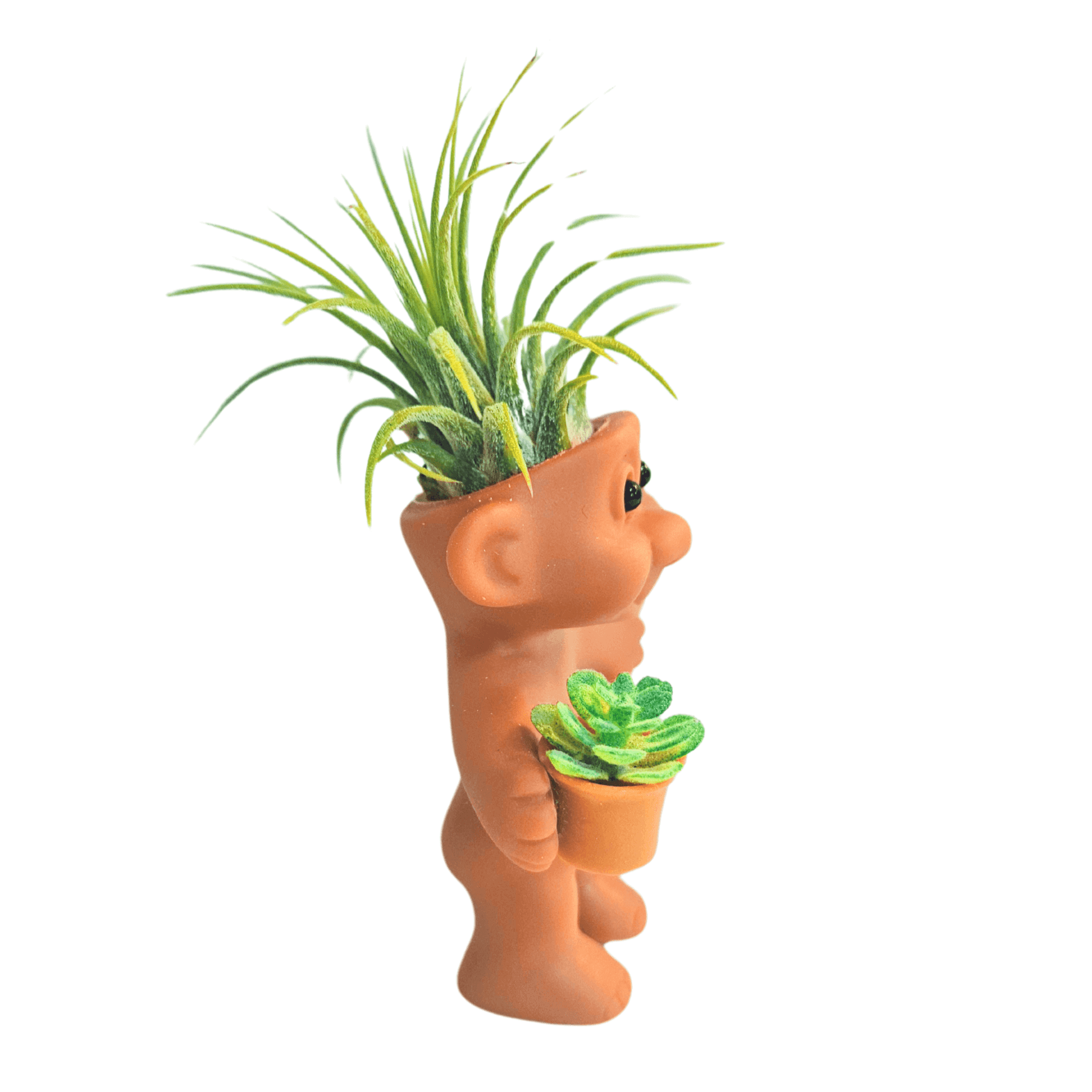 Air Plant Holder Funny Troll Holding Succulent Plant