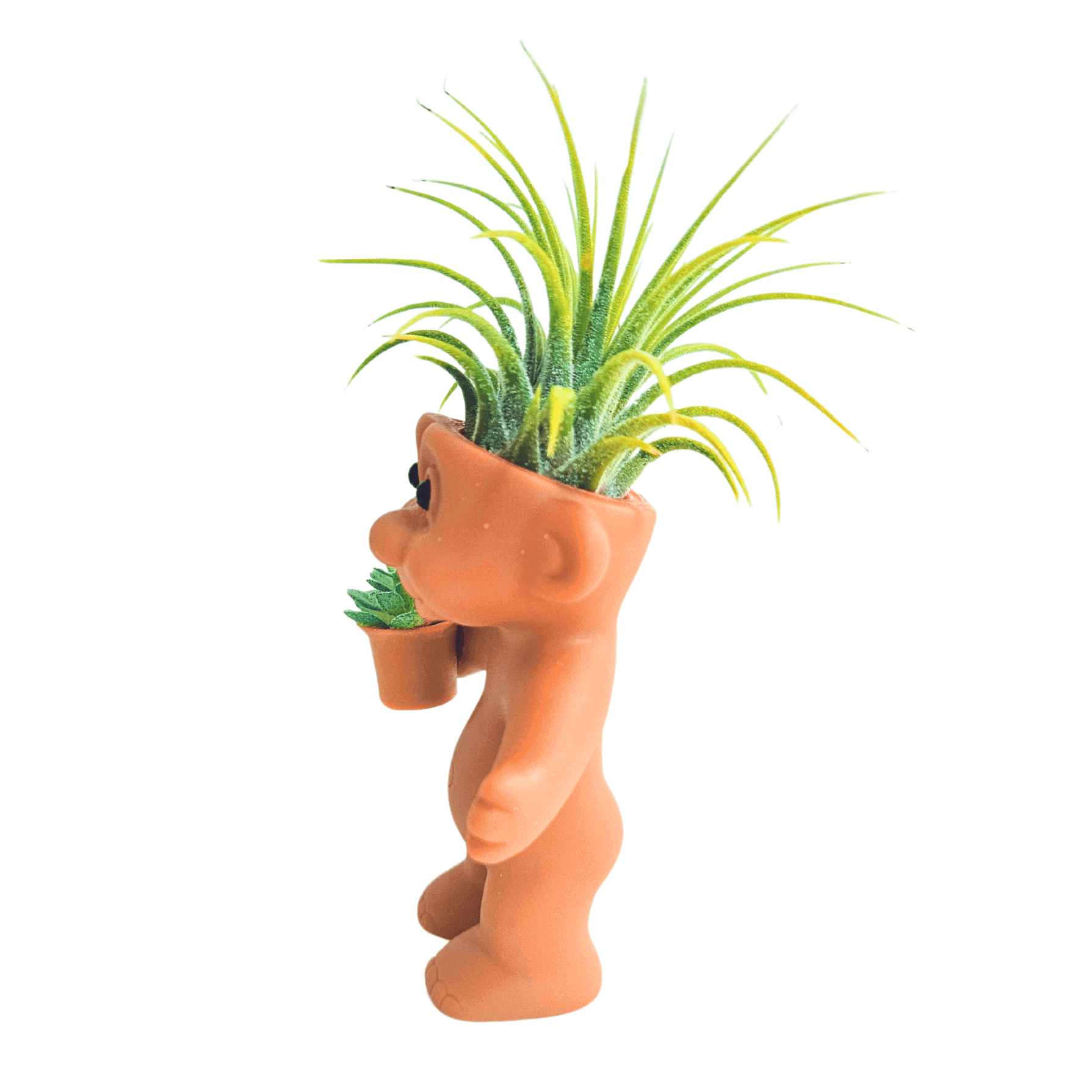 funny air plant holder Air Plant Holder Troll with Succulent Plant