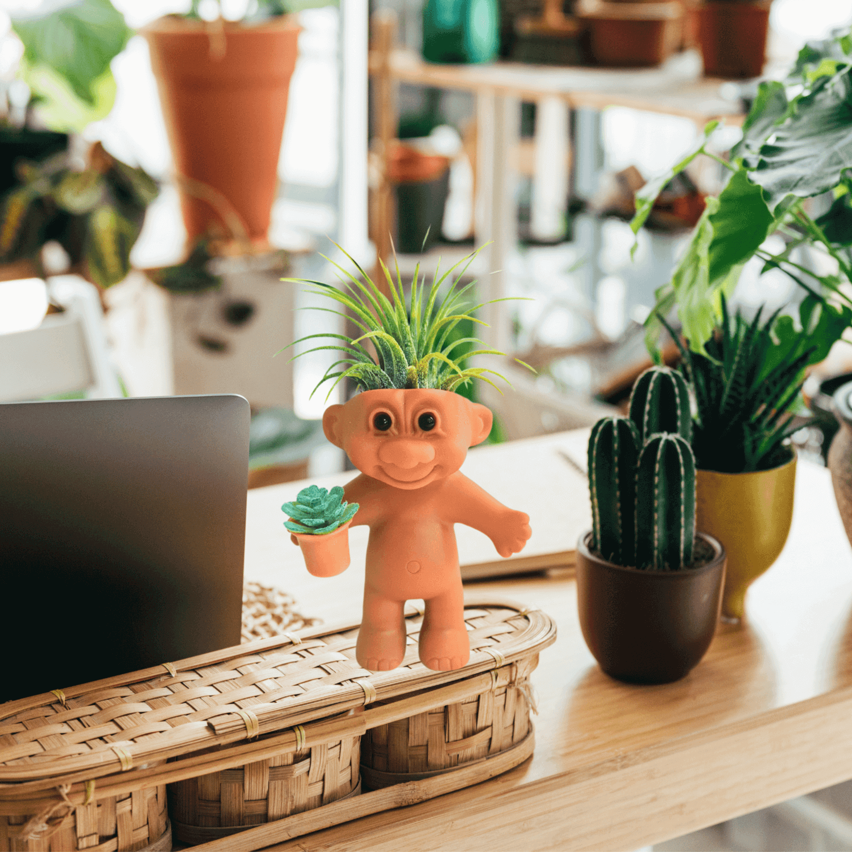 Air Plant Holder Funny Troll Holding Succulent Plant
