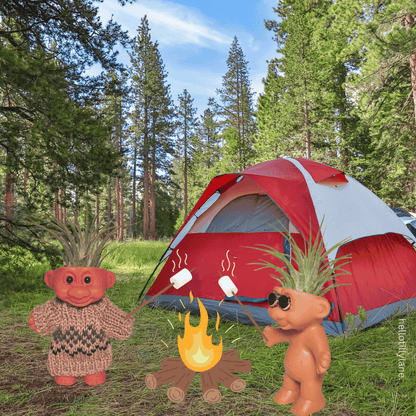 Air Plant Holder Cute Troll with Cozy Sweater