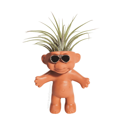 Air Plant Holder Troll With Sunglasses