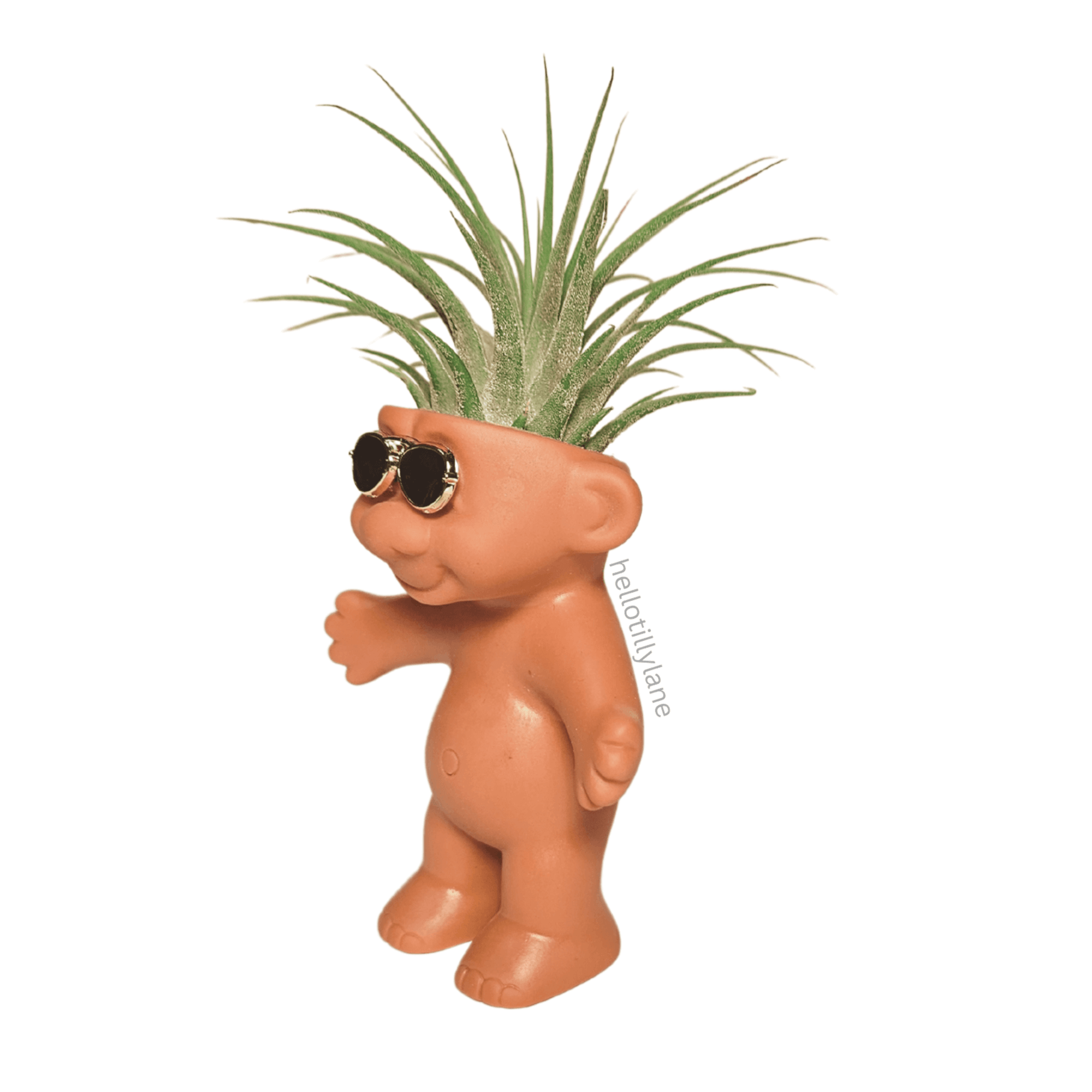 Air Plant Holder Troll With Sunglasses
